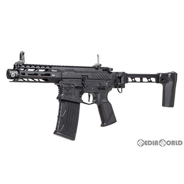 【新品即納】[MIL]G&G ARMAMENT(ジーアンドジーアーマメント) 電動マシンガン ARP556 3.0(EGC-556-V03-NB-NCS) (18歳以上専用)(20240524)