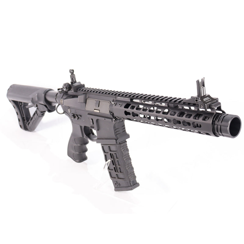 【中古即納】[MIL] G&G ARMAMENT(ジーアンドジーアーマメント) 電動ガン GC16 WILD HOG 9インチ(EGC-WLD-009-BNB-NCS) (18歳以上専用)(20150223)