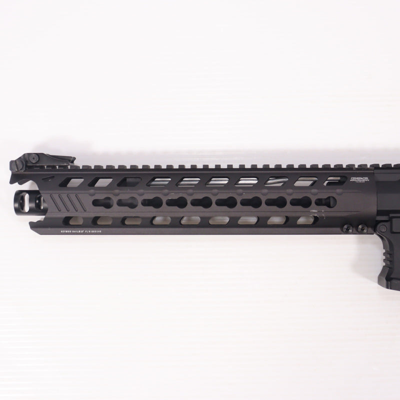 【中古即納】[MIL] G&G ARMAMENT(ジーアンドジーアーマメント) 電動アサルトライフル GC16 Predator(プレデター)(EGC-016-PTR-BNB-NCS) (18歳以上専用)(20150930)
